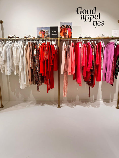 Steigerbuis kledingrekken in het goud met kleding erin gehangen4