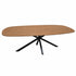 Salontafel ovaal Facet met zandkleurig houten blad en zwart stalen spinpoot.